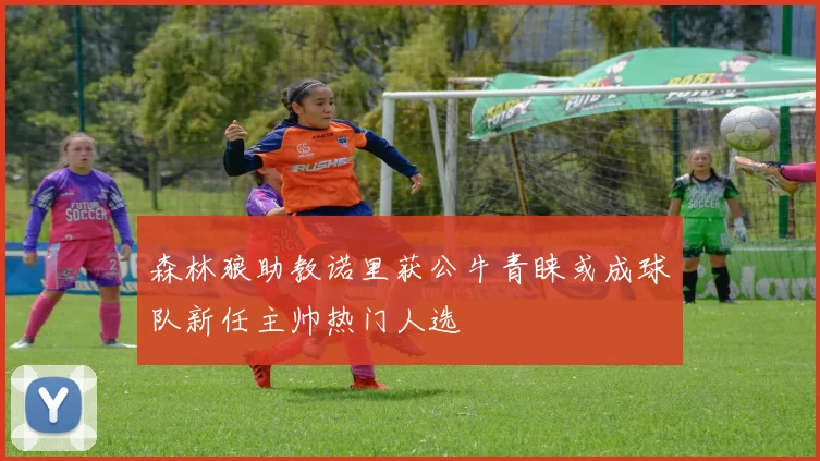 森林狼助教诺里获公牛青睐或成球队新任主帅热门人选